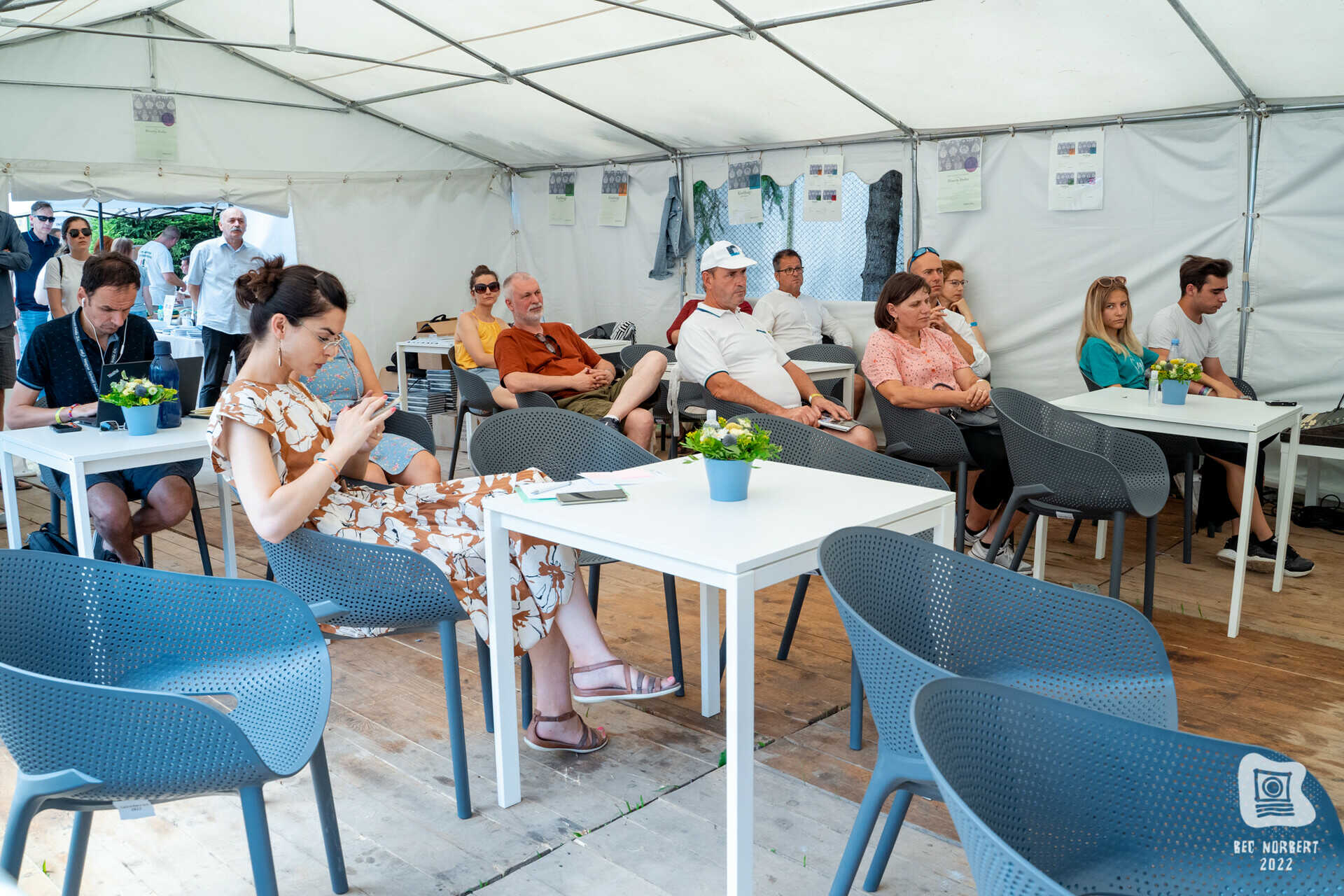 kek_szurke_optimized